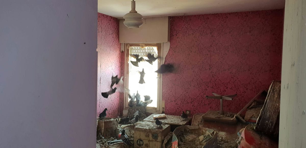 פינוי דירת שכיר וניקיון - עשה זאת בעצמך